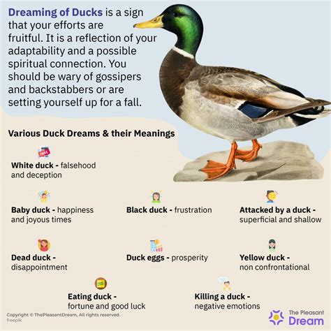 Exploring the Personal Context of a Duck Dream