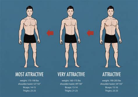 Exploring the Physical Stature and Body Shape of the Notable Personality