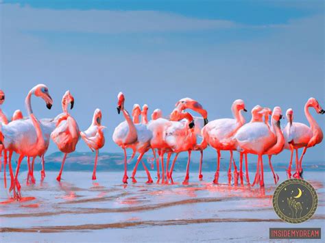 Exploring the Possible Meanings Behind the Sight of Flamingos in Dreams