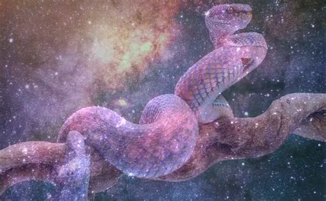 Exploring the Possible Meanings of a Wounded Serpent Dream