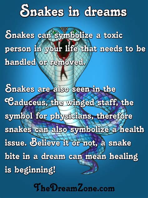 Exploring the Profound Psychological Significance of Symbolic Meaning Associated with Snake Dreams