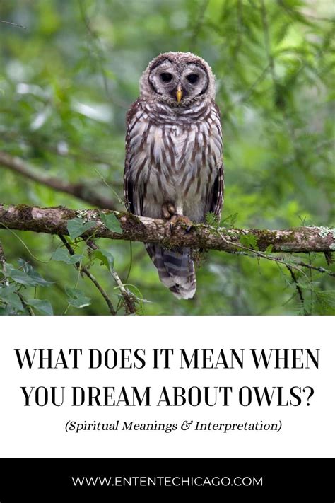 Exploring the Psychological Analysis of Dreaming about a Confined Owl