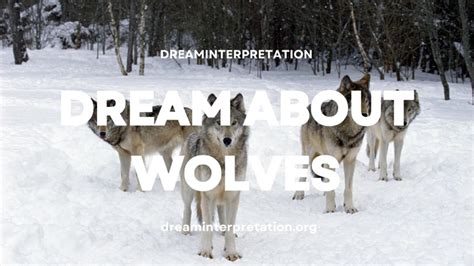 Exploring the Psychological Interpretation of Wolf Symbolism in Dreams