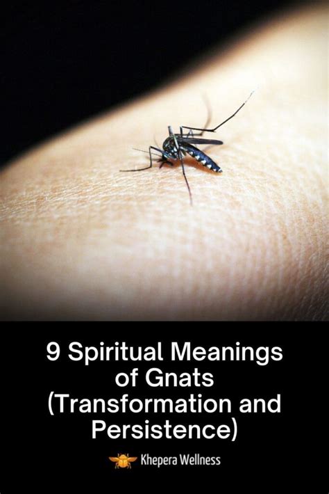 Exploring the Psychological Interpretations of Encounters with Tiny Gnats: Understanding the Deeper Meanings