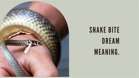 Exploring the Psychological Significance of Dreams Involving Snake Bites