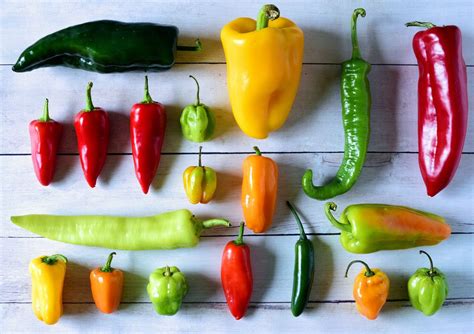 Exploring the Range: Varieties of Fiery Red Peppers