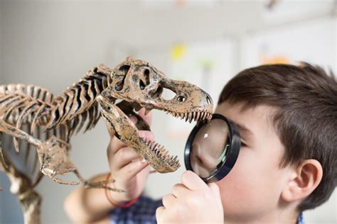 Exploring the Science behind the Fascination with Dinosaurs