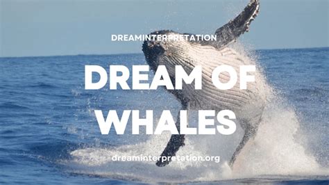 Exploring the Significance of Dreams Featuring Stranded Whales: Decoding and Analyzing the Emotional Impact