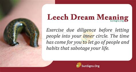 Exploring the Significance of Leech-related Dreams through the Application of Dream Analysis Techniques