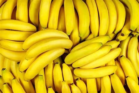 Exploring the Spiritual Significance of Bananas in Dreams