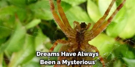 Exploring the Symbolic Meaning of a Mighty Arachnid in One's Dreams