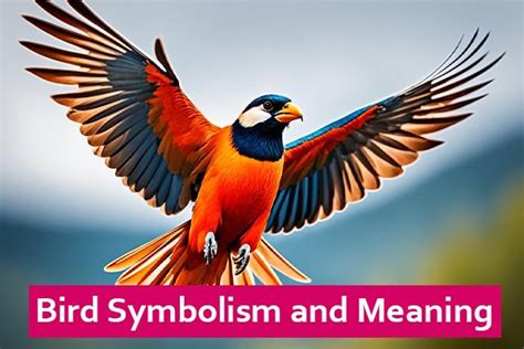 Exploring the Symbolic Representation of Bird's Provocative Gesture