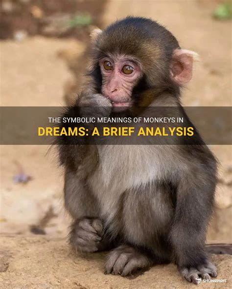 Exploring the Symbolic Significance of Monkey Dreams