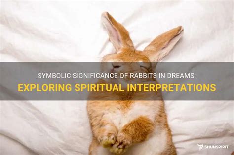 Exploring the Symbolic Significance of Rabbit Excrements in Dreams