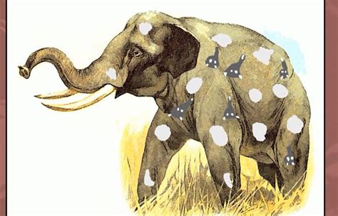 Exploring the Symbolism Behind an Airborne Pachyderm: Expanding the Limits of Perception