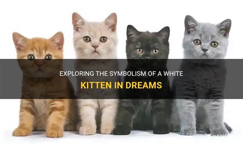 Exploring the Symbolism in a Smoky Kitten's Dream