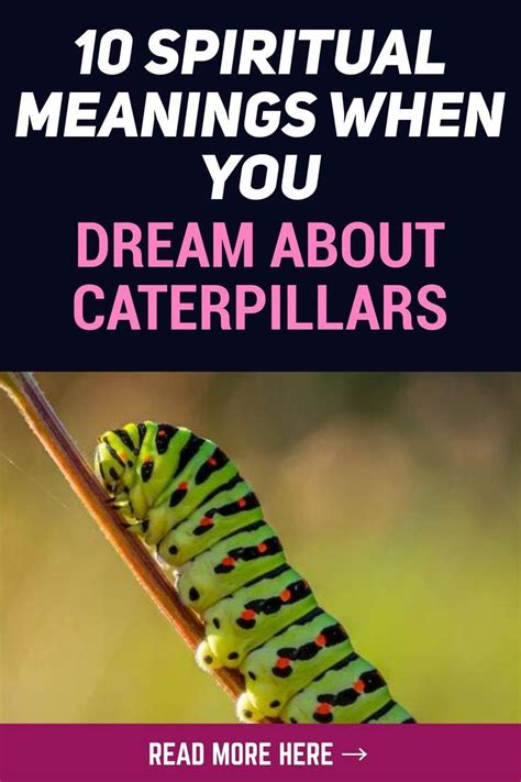 Exploring the Symbolism of Caterpillars in Dreams