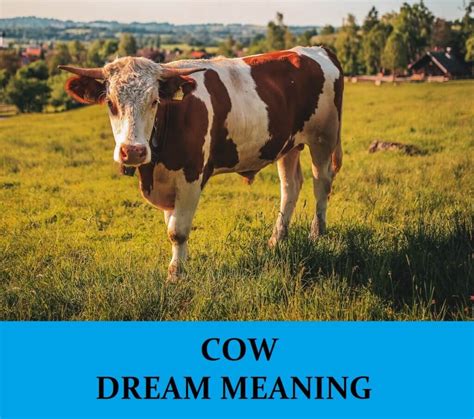 Exploring the Symbolism of Cow Dreams During the Maternity Period