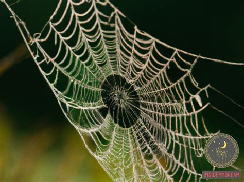 Exploring the Symbolism of Enormous Arachnid Webs in Dreams