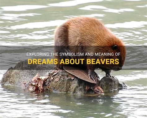 Exploring the Symbolism of Gnawing by Beaver in One's Dreams