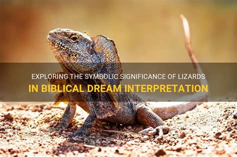 Exploring the Symbolism of the Lizard in Dreams