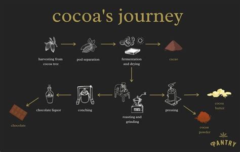 Exploring the World of Chocolate: Journey from Cacao Bean to Delicious Bar