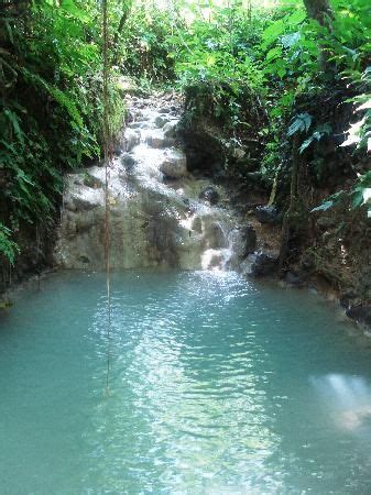 Exploring the World of Jasmine Waterfall