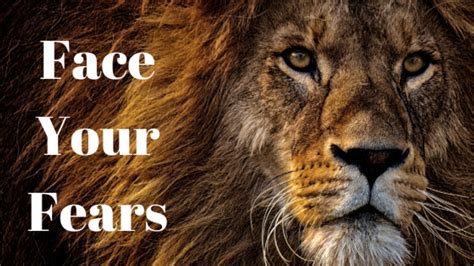 Facing Your Fears: Harnessing the Power of Lion Stalking Dreams for Personal Growth