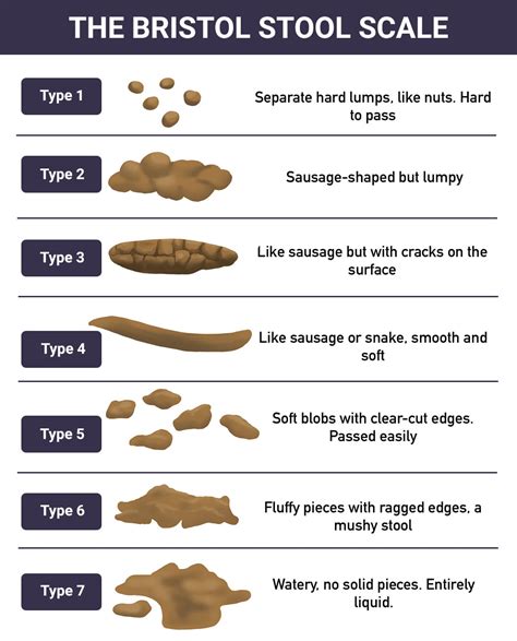 Factors Impacting the Quality of Your Stool