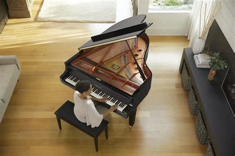 Factors to Consider When Choosing a Piano for Your Living Space