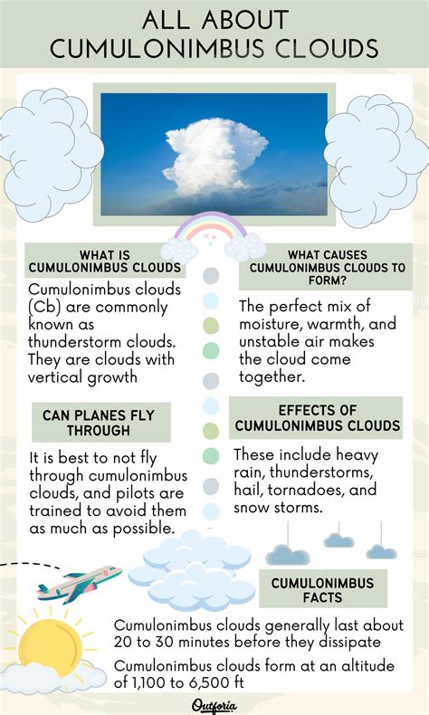 Facts about Viivi Clouds' Time on Earth and Measurement from Top to Toe