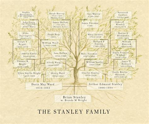 Family Roots and Ancestry