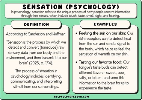 Family and Relationships of the Multitalented Sensation