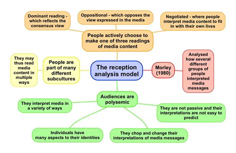 Fanbase and Public Reception Analysis