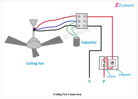 Fans and Enthusiasts Connection