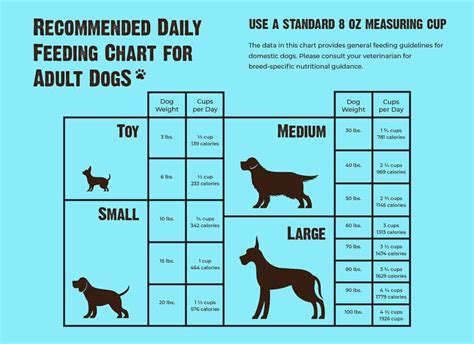 Feeding and Nutrition for Your Tiny Companion