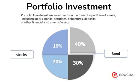 Financial Status: Wealth and Investment Portfolio