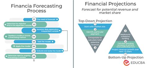 Financial Status of Evevalentine: Realities and Projections