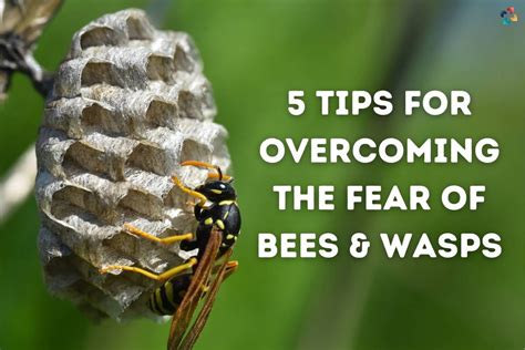 Finding Empowerment: Overcoming Fear in Wasp-Infested Dreams