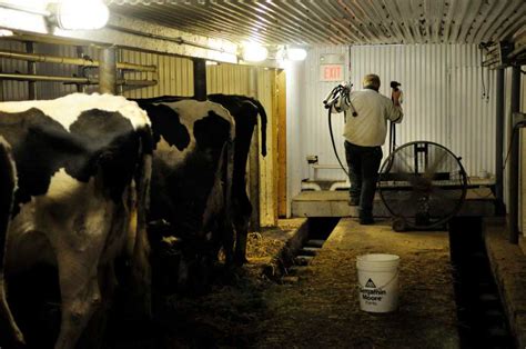 Finding Local Dairy Farms