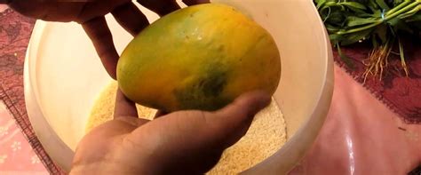 Finding the Perfect Mango: Tips to Select and Ripen Like an Expert