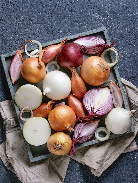 Finding the Perfect Onion Varieties for Enormous Growth