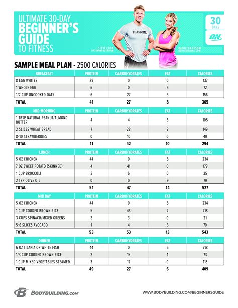 Fitness Regimen and Nutrition Plan of the Accomplished Individual