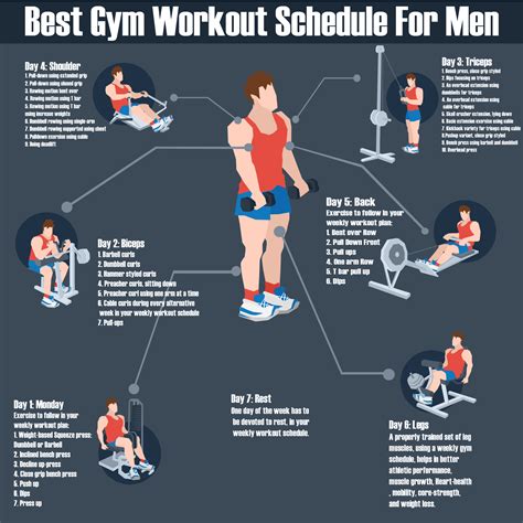 Fitness Routine of the Esteemed Gym Enthusiast