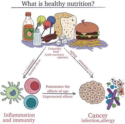 Food for Thought: The Relationship Between Diet and Gum Infections