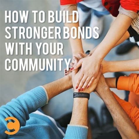 Forming a Connection: Building a Bond with Your New Companion