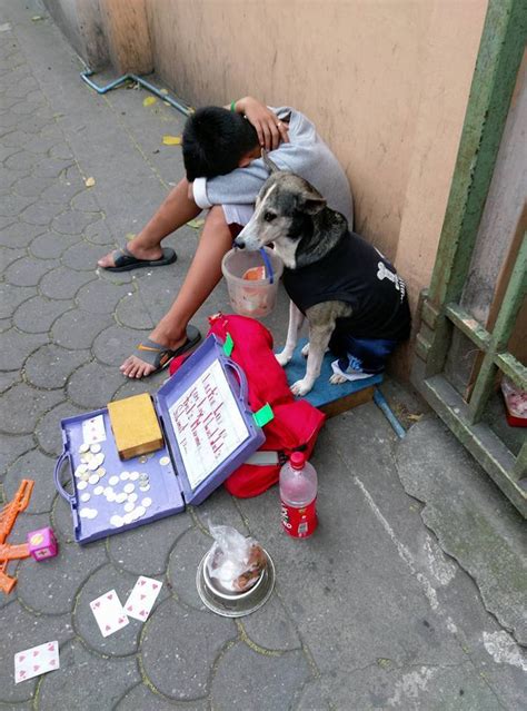 Fostering Emotional Resilience Through Connection with an Ebony Canine Companion