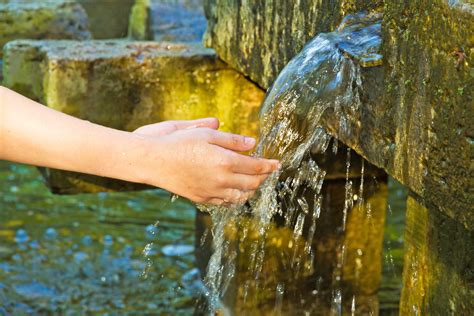 Fountain of Youth