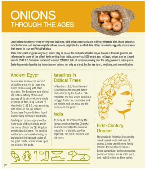 From Ancient Times to Modern Cuisine: Tracing the History of Onion Consumption