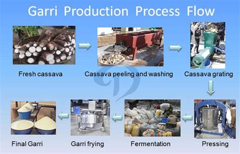 From Cassava to Garri: Revealing the Metamorphosis Process